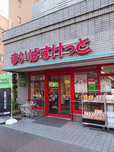 Ｂ．Ｒ．大森山王 その他外観3