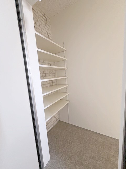 ルポ・ルアナ その他1