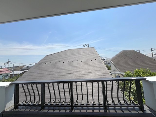 ルポ・ルアナ その他3