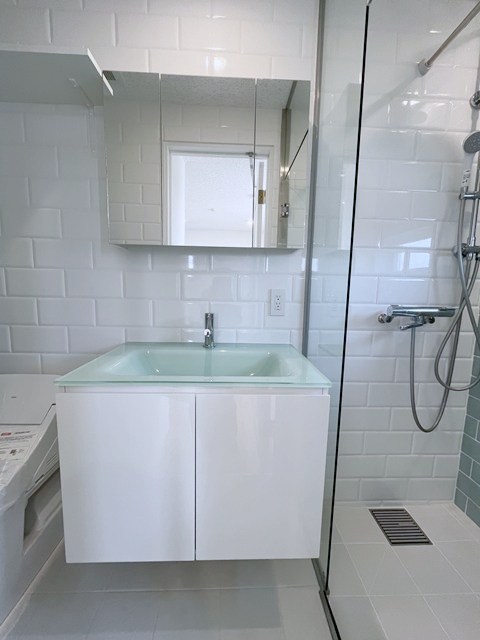 ルポ・ルアナ その他4