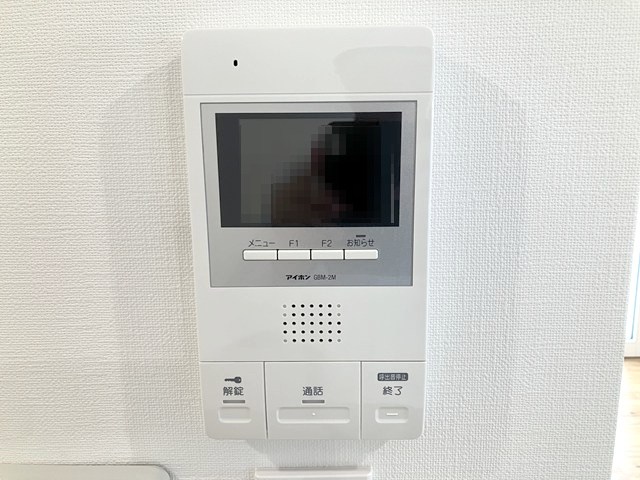 ルポ・ルアナ その他2