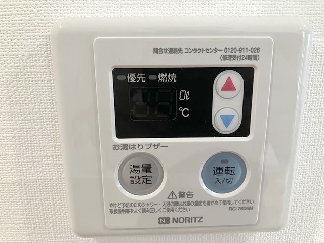 ルポ・ルアナ その他8