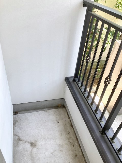 ルポ・ルアナ その他11