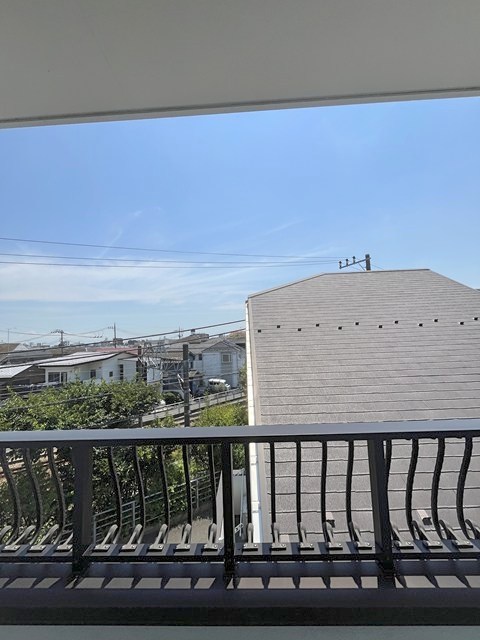 ルポ・ルアナ その他3