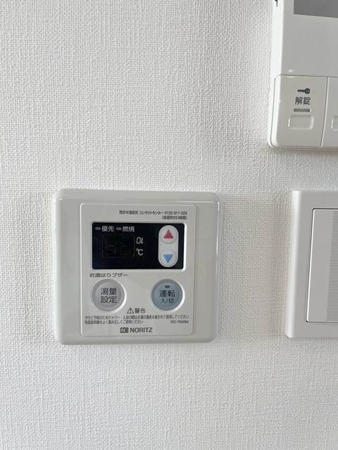 ルポ・ルアナ その他8