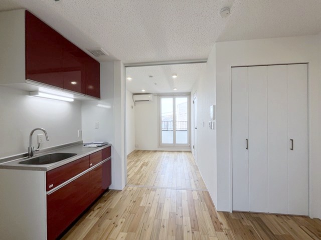 ルポ・ルアナ その他11