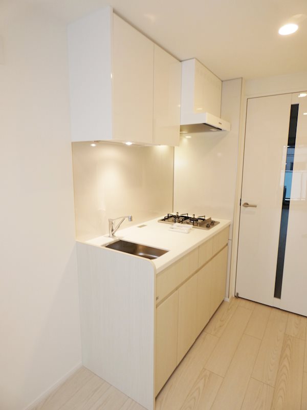 brillia ist 大井町 その他12