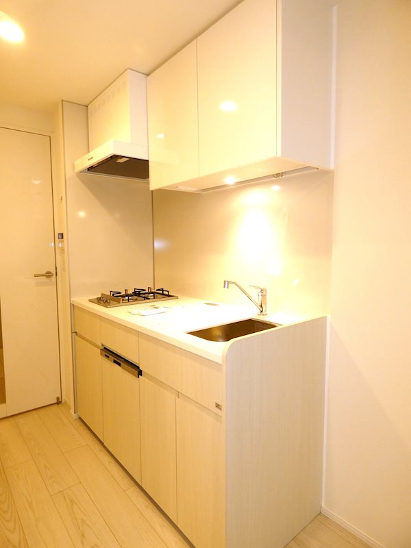 Brillia ist 大井町 その他2