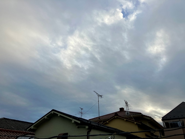 東雪谷戸建 その他8