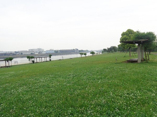 PROGRESS その他17