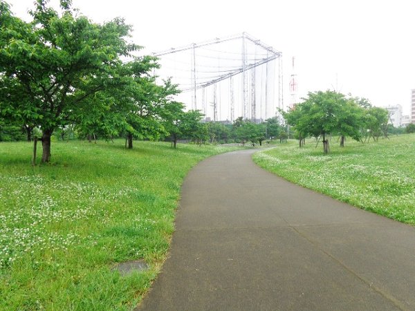 PROGRESS その他18