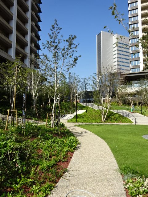 目黒第一マンションズ  その他7