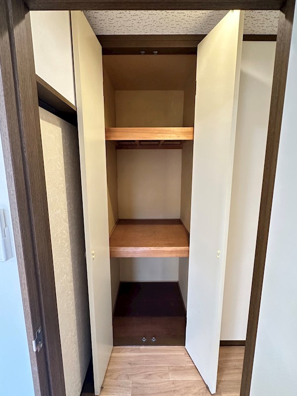 スターライト その他12