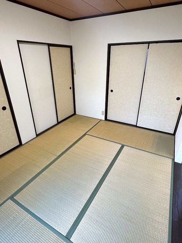 スターライト その他15