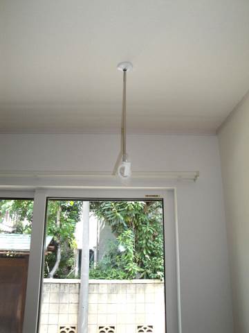 サウスウィンド  その他4