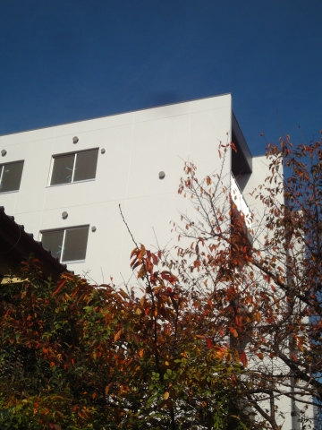 メーゾン俊3rd  その他21