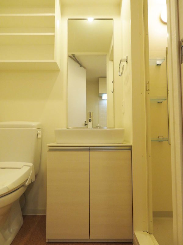 カスタリア大井町 その他3