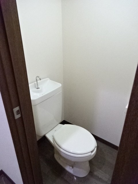 アローニアノムラ  その他3