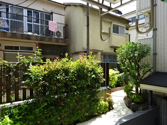 アローニアノムラ  その他5