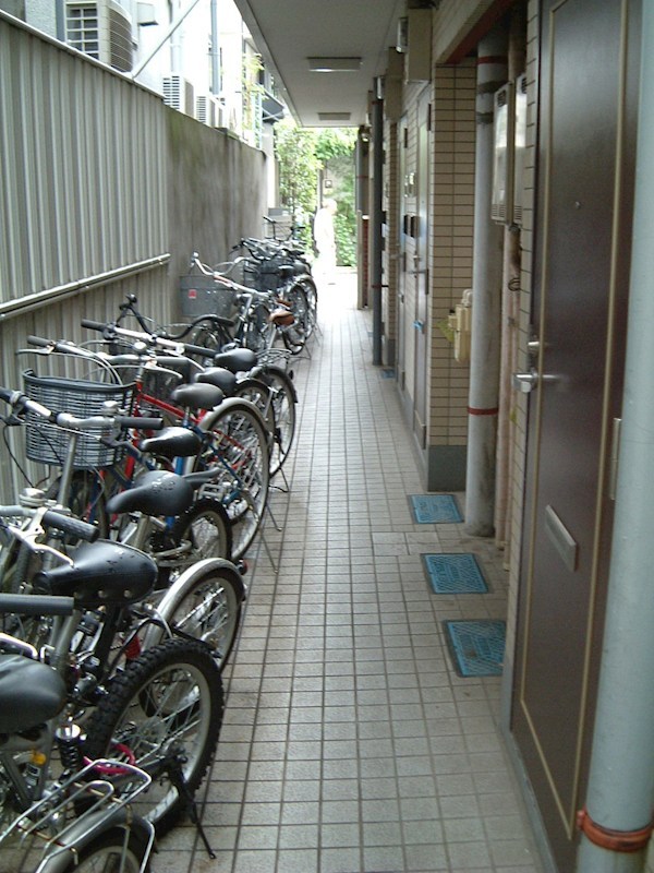 アローニアノムラ  その他2