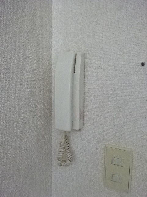 アローニアノムラ  その他3