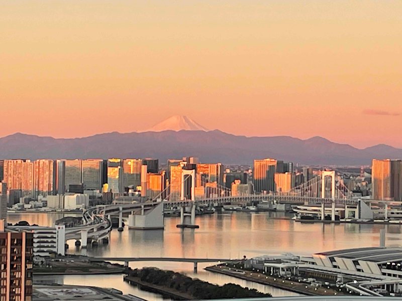 パークタワー東雲 その他6