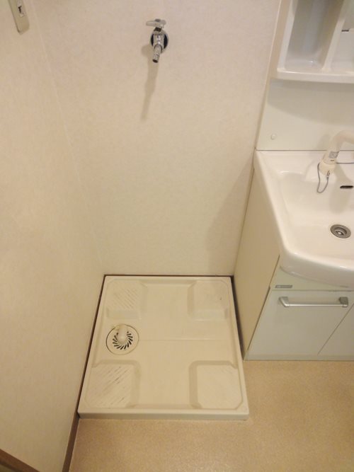 チェリーブラッサム  その他4