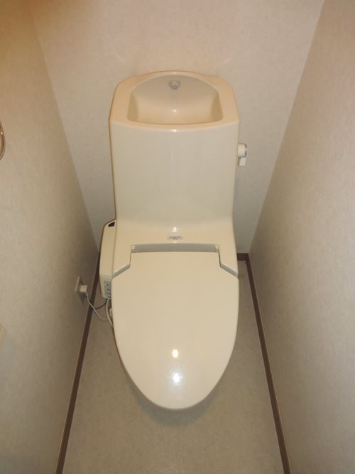 チェリーブラッサム  その他5