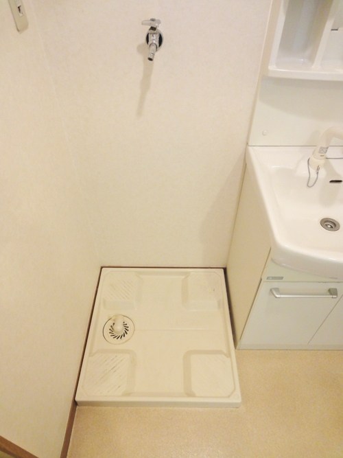 チェリーブラッサム  その他1