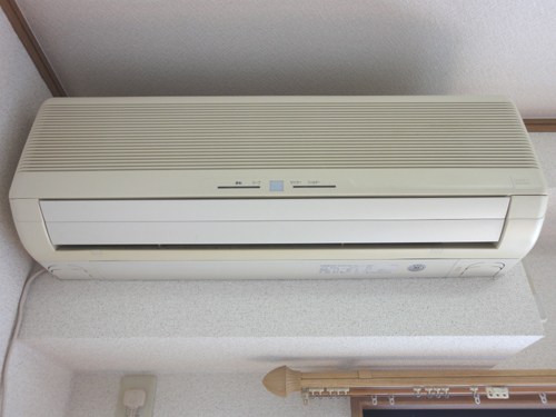 チェリーブラッサム  その他10