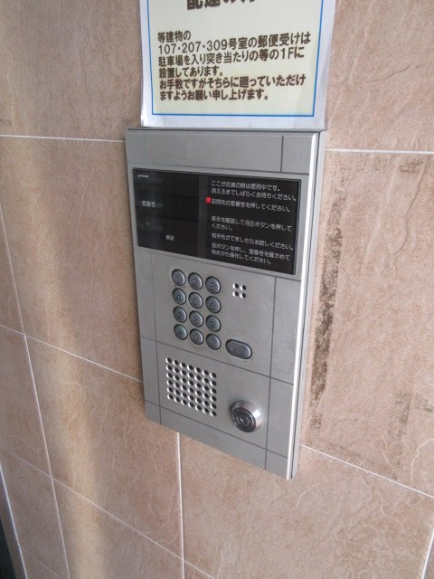 チェリーブラッサム  その他11