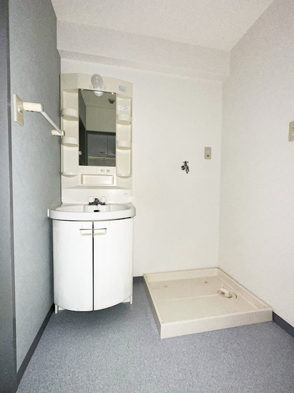 ステラトーショウ その他2