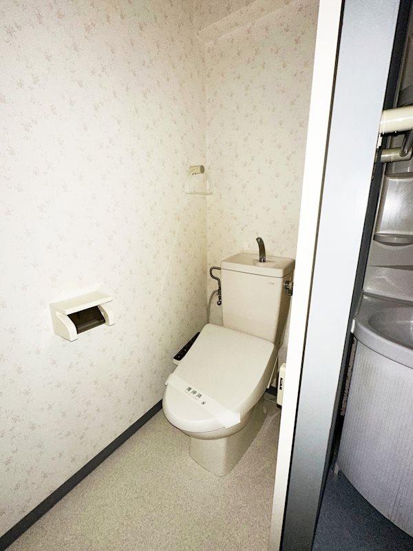 ステラトーショウ その他3