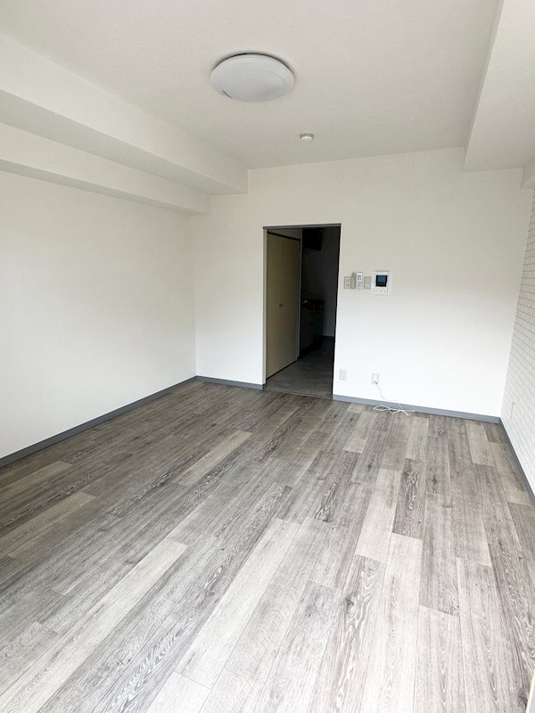 ステラトーショウ その他7