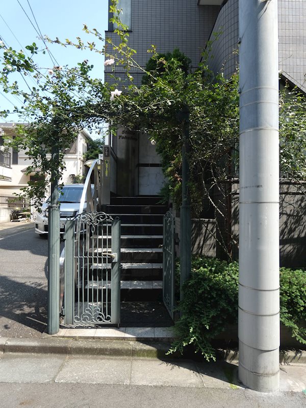 ステラトーショウ その他11