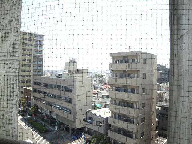 ベンセレーモス その他11