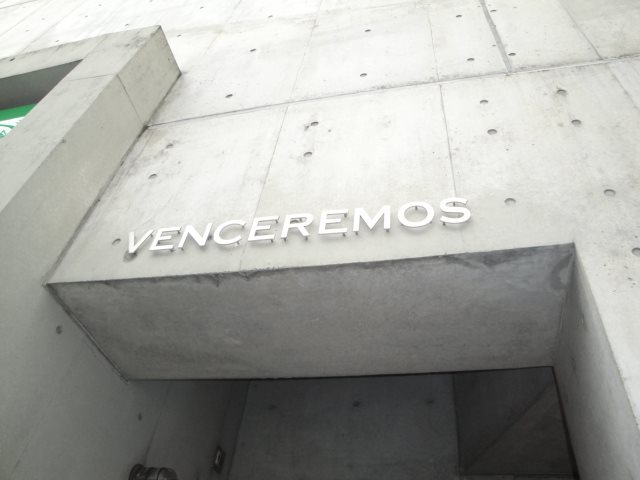 ベンセレーモス その他15