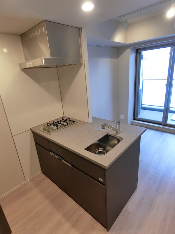 Brillia ist 大井町 キッチン