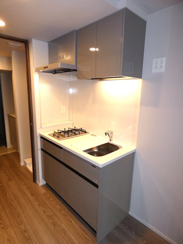 ルフォンプログレ西大井プレミア その他2