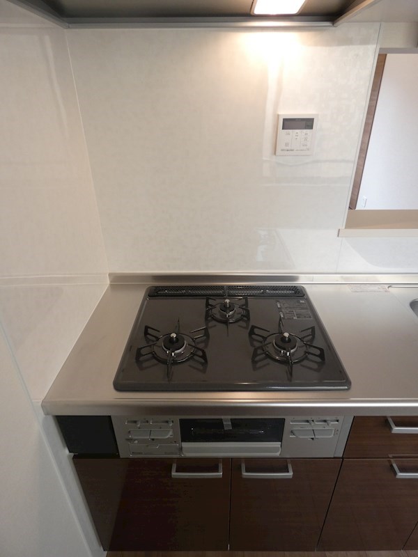 カミニート その他11