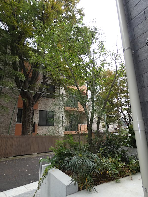 エスタート大井町フォレスト ベランダ