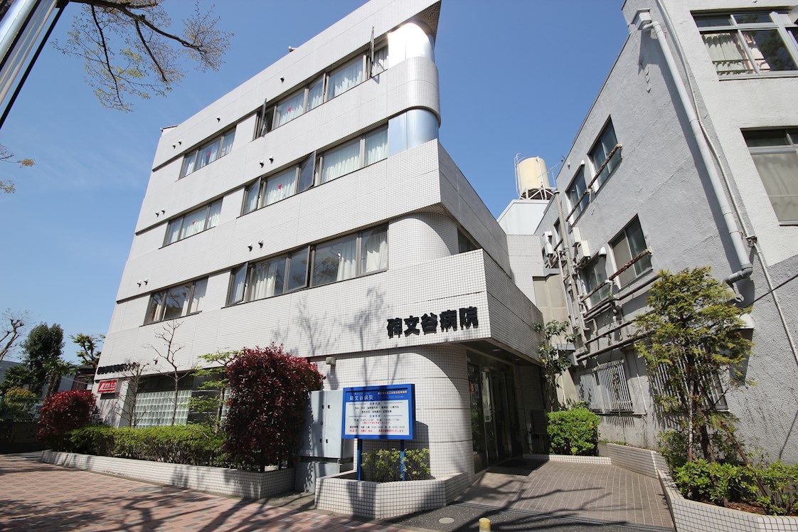 ニューガイアリルーム西小山№55 周辺画像5