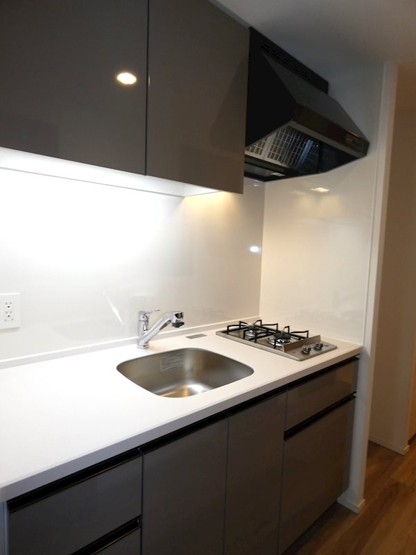 パークアクシス品川南大井パークフロント その他2