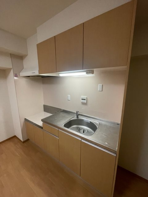 パークサイド竹虎 キッチン