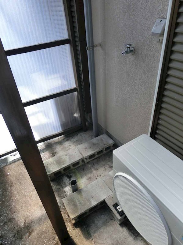 ハイムピーコック その他2