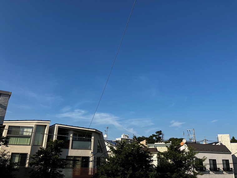 奥沢戸建 その他8