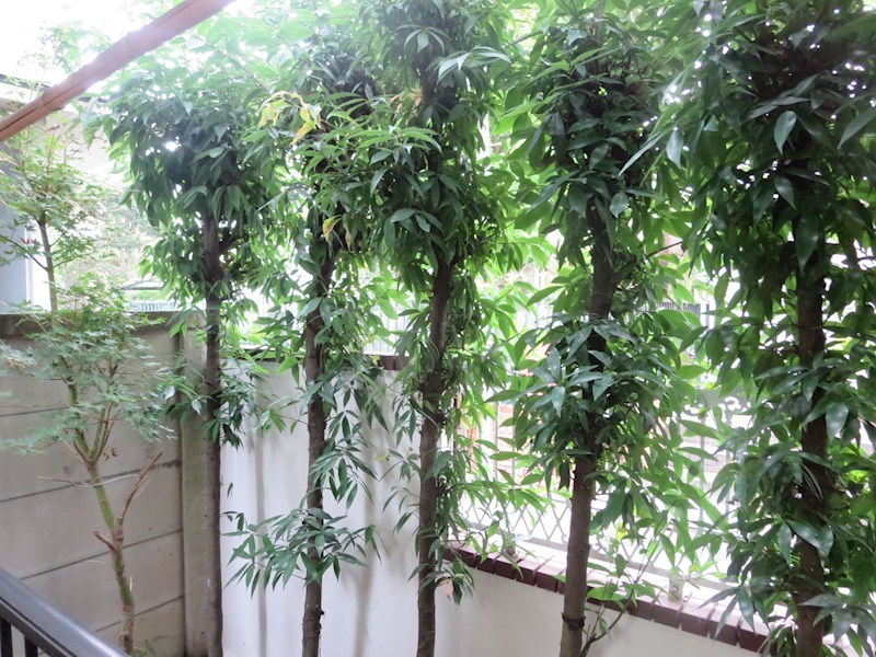 サザンコーポ ベランダ