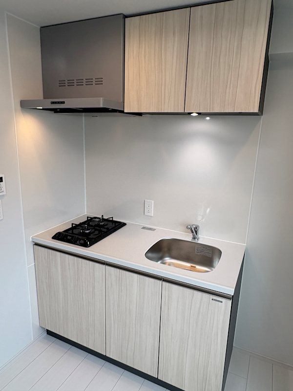 ブランシエスタ品川大井町パークエッジ キッチン