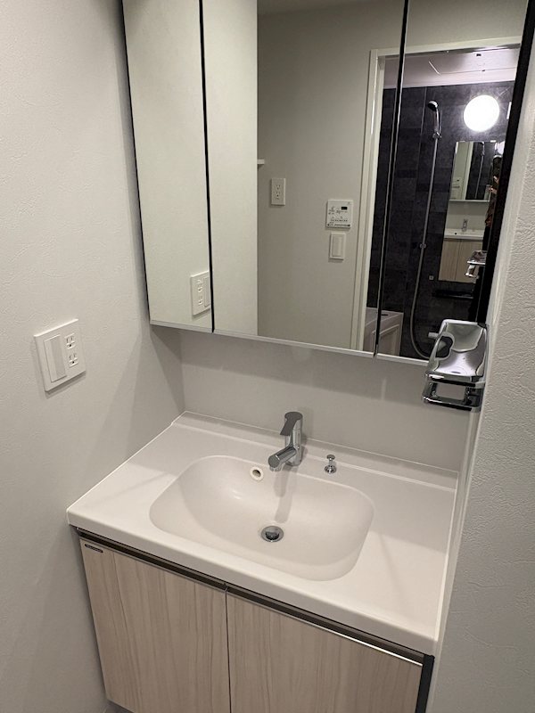 ブランシエスタ品川大井町パークエッジ その他2