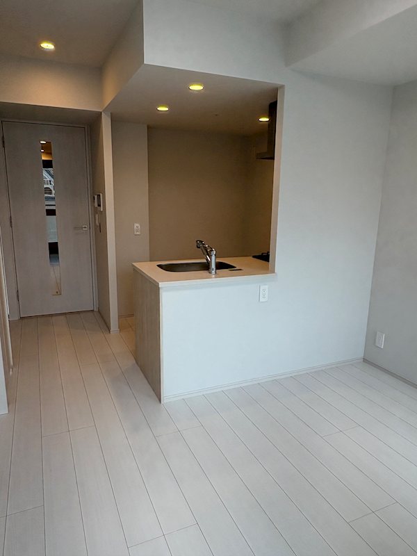 ブランシエスタ品川大井町パークエッジ リビング